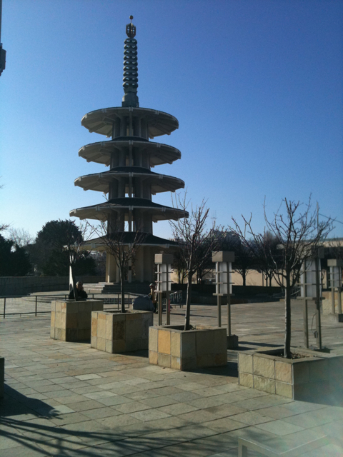 20110123-jtown.jpg