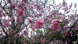20110316-110314_134918.jpg