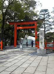 20110316-110314_135014.jpg