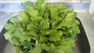20111013-111012_072545.jpg