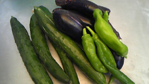 20111013-111012_072736.jpg