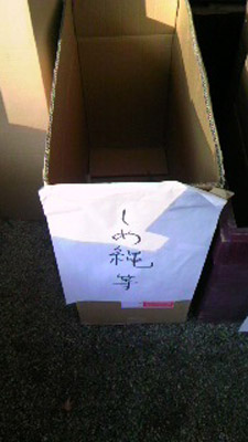 20120117-shimenawa_02.jpg