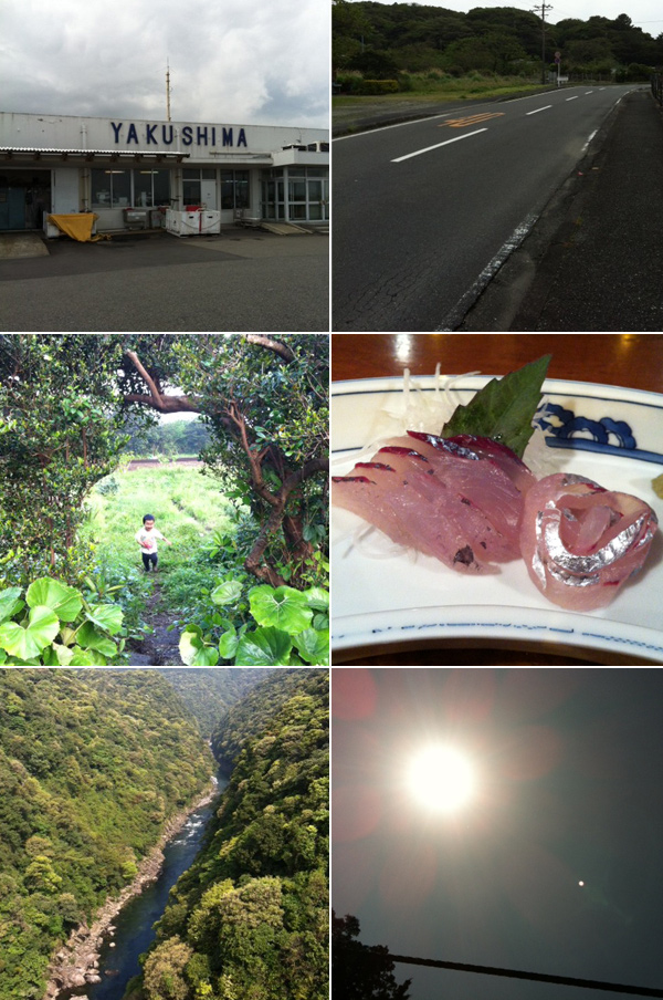 20120425-yakushima01.jpg