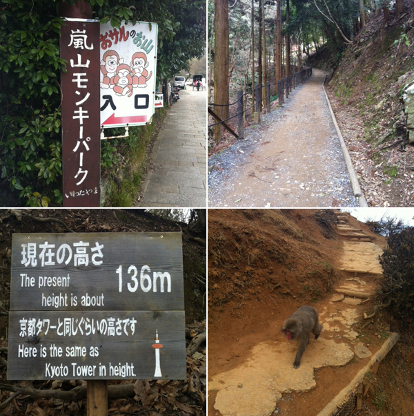 20120603-nikki01.jpg