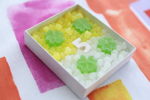 20130426-20130427wasanbon.jpg