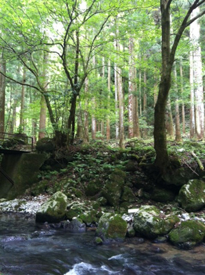 20130902-130902fuuketsu04.JPG