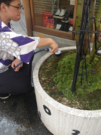20130913-hiraki2.jpg