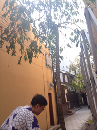 20130913-hiraki3.jpg