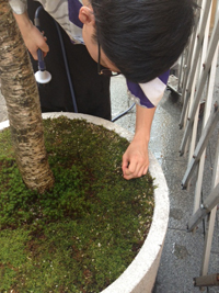 20130913-hiraki4.jpg