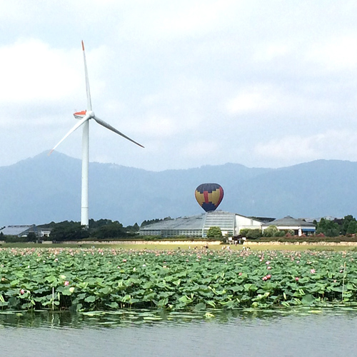 20140731-140730nikki01.jpg