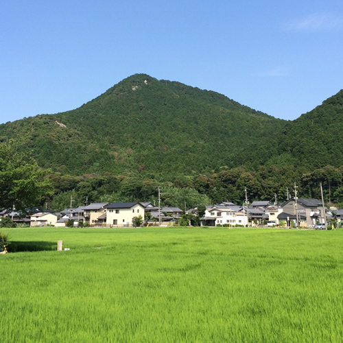 20140731-140730nikki08.jpg
