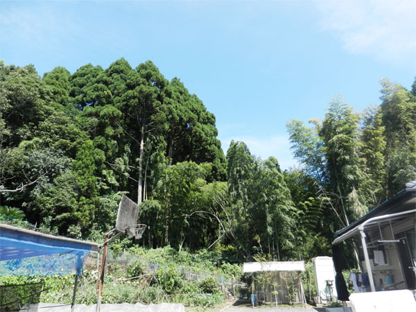 20141005-ienoura.jpg