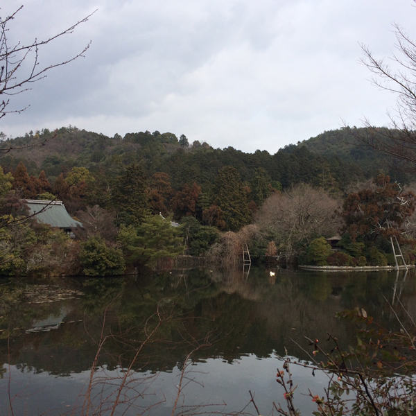20150203-IMG_1383.JPG