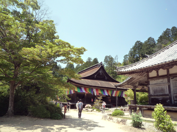 20150510-NI0513_2.JPG