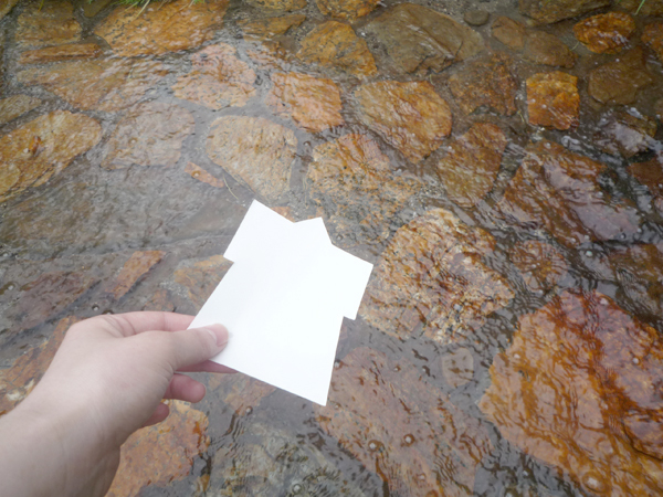 20150630-NI0701_4.JPG