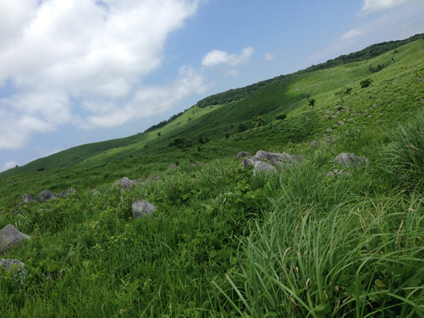 20150718-33.jpg