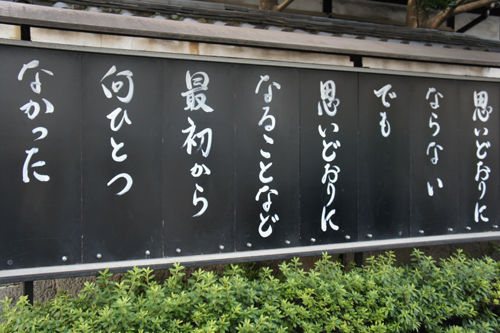 20110721-DSC05166.JPG