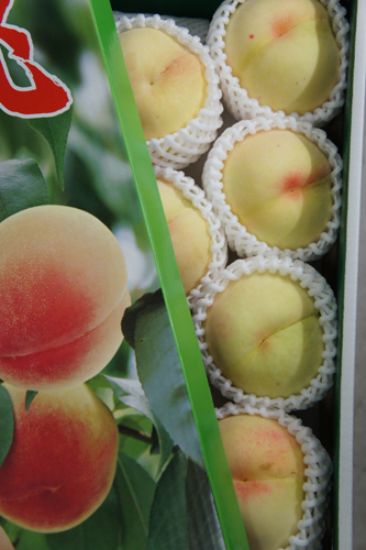 20110810-DSC05905.JPG