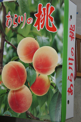 20110810-DSC05906.JPG