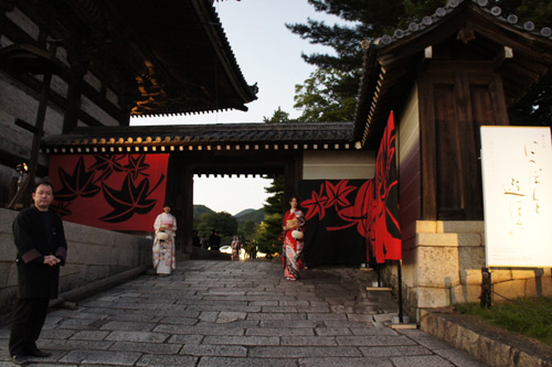 20111008-DSC08519.jpg