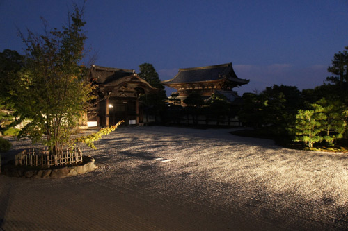 20111008-DSC08535.jpg