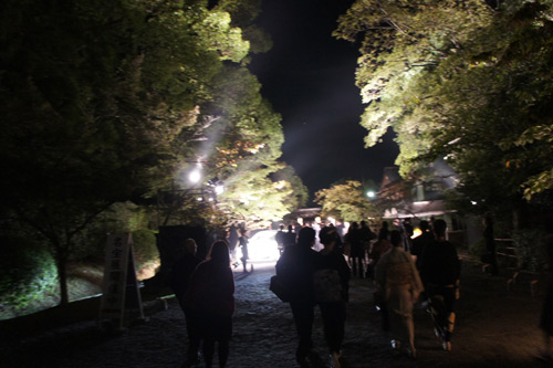 20111008-DSC08570.jpg