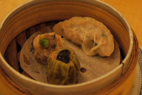 20111020-DSC08255.JPG
