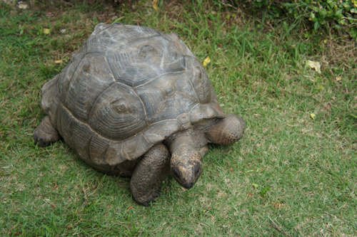 20111021-DSC07887.JPG