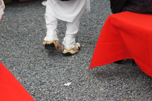 20111105-DSC09244.JPG