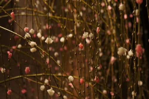 20120113-DSC01117.JPG