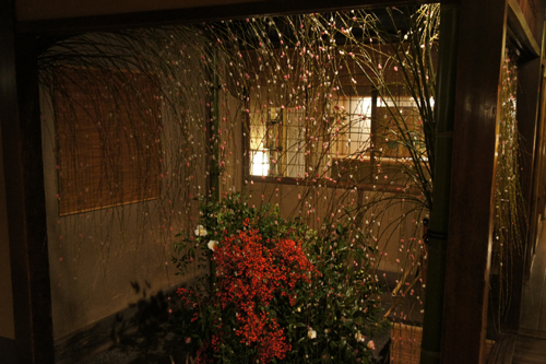 20120113-DSC01119.JPG