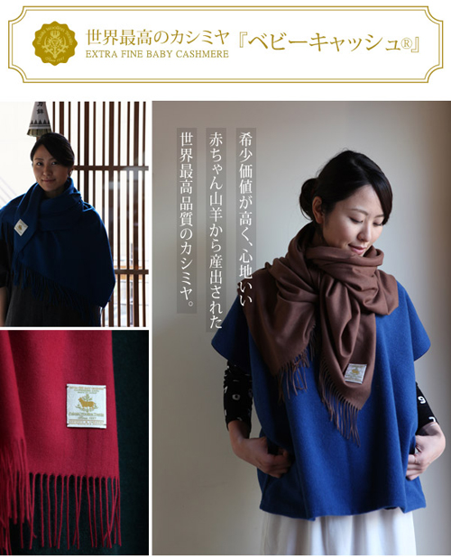 20120130-120131.jpg