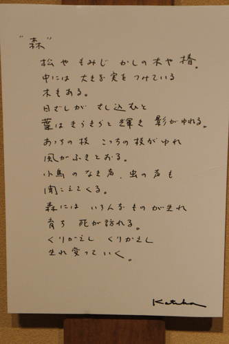 20120216-DSC02544.JPG