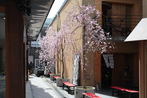 20120407-IMG_6513.JPG