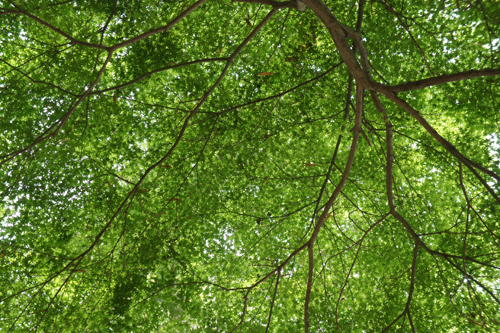 20120519-DSC04836.JPG