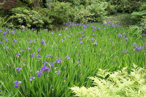 20120524-DSC04921.JPG