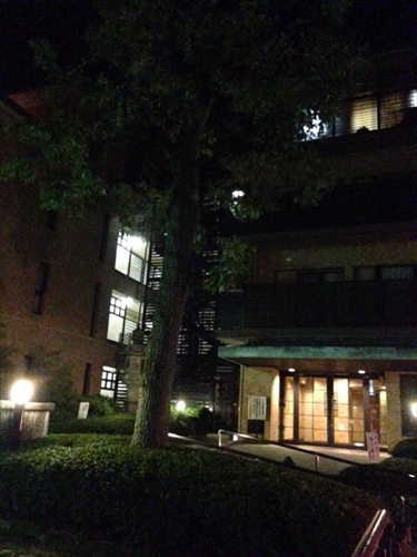 20131014-023.JPG