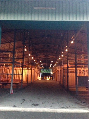 20131023-05.JPG