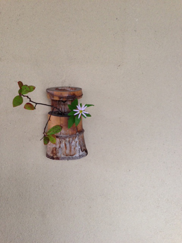 20131104-01.JPG