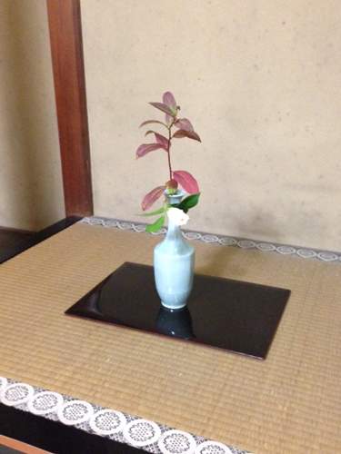 20131104-02.JPG