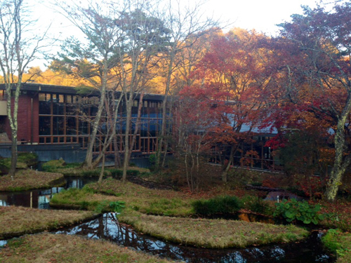 20131108-001.JPG