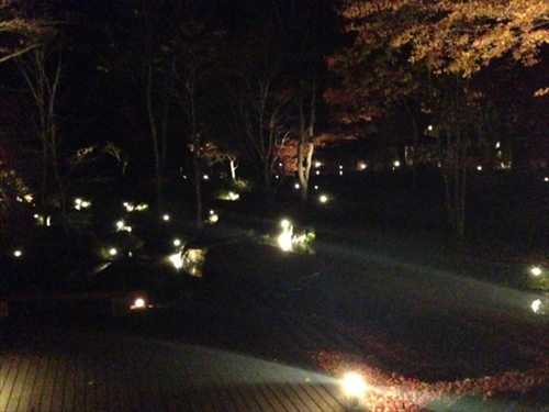 20131108-07.JPG