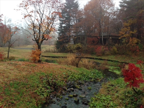 20131108-11.JPG