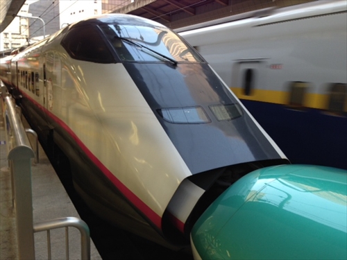 20131108-35.JPG