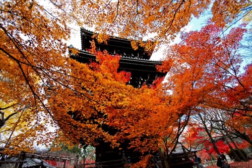 20131113-11.JPG