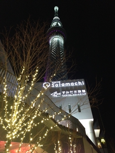 20140128-s01.JPG
