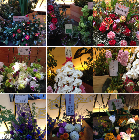 20140313-hana.jpg