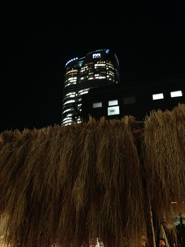 20140319-IMG_7872.jpg