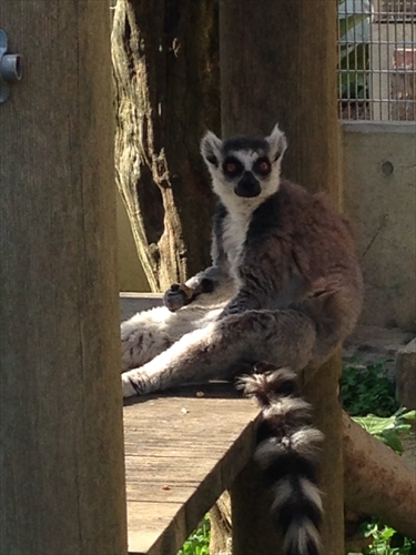 20140512-IMG_1221.jpg