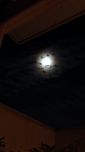 20140910-09.jpg